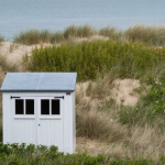 How to Decide Between a Metal Shed vs. a Wood Shed