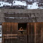 everything you need to know about disposing a shed