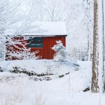 how to winterize a shed