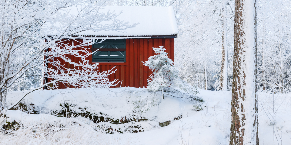 how to winterize a shed